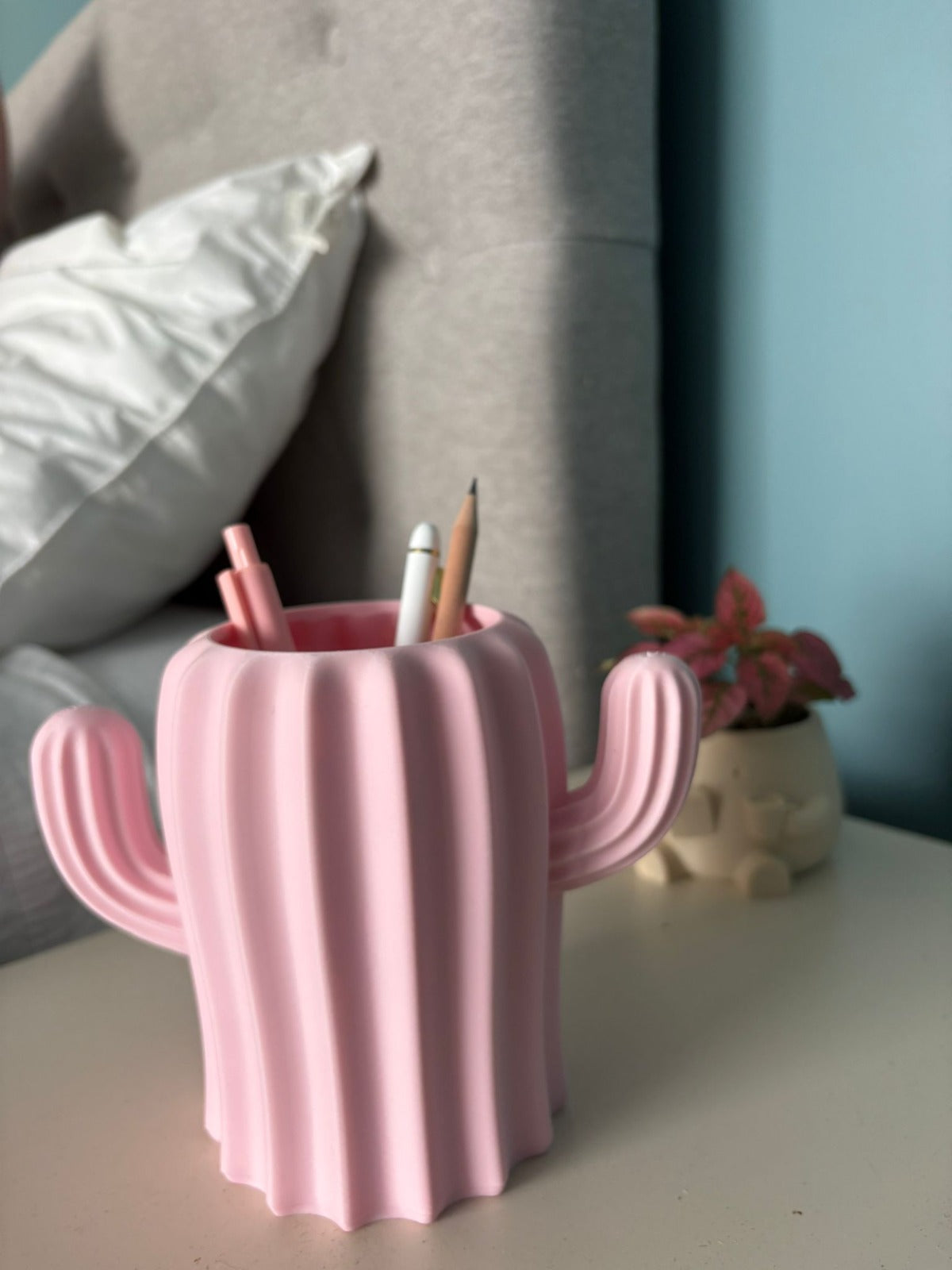 Cactus Desk Organiser